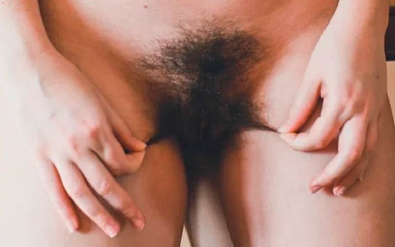 Lange Schamhaare